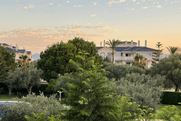 Master Inmobiliario Real Estate - Rebs