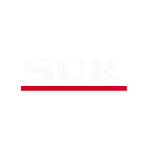 Diario Sur - Cobertura mediatica Rebs